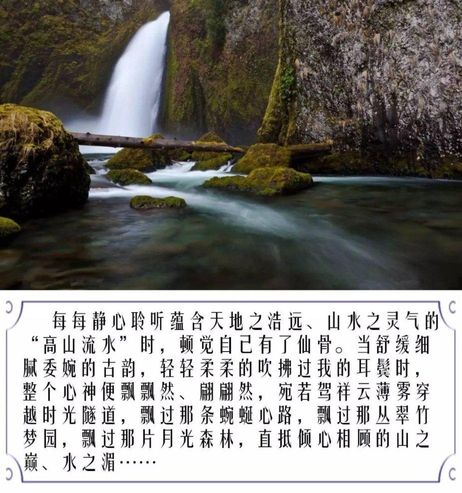 鹿城建立“五员+执”工作机制