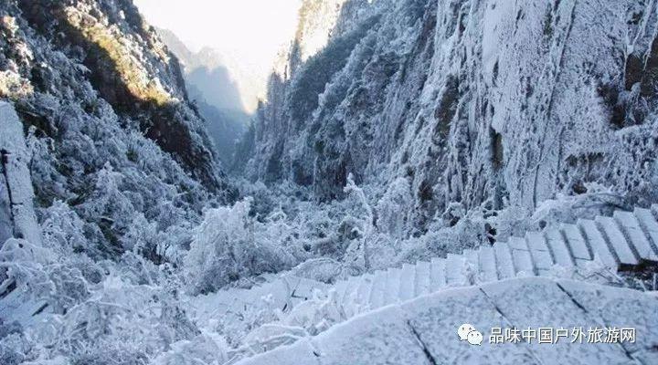 缤纷水果茶